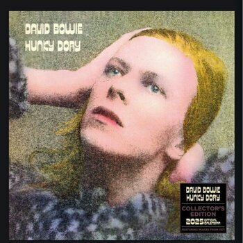 Calendrier 2025 David Bowie Edition Collector Pochette Vinyle