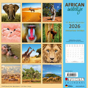 Calendrier Papier 2026 Safari Animaux d'Afrique