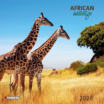 Calendrier 2026 Safari Animaux d'Afrique