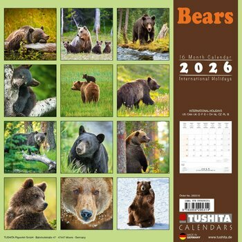 Calendrier 2026 Ours Bruns Ours Noirs