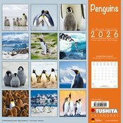 Calendrier Papier 2026 Banquis Polaire Pingouins