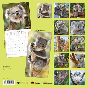 Calendrier 2026 Koalas Marsupial Australie avec Poster Offert