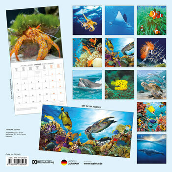 Calendrier 2026 Créatures Animaux sous Marins avec Poster Offert