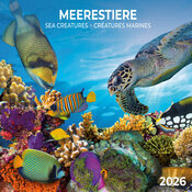 CalendrieR Papier 2026 Cratures Animaux sous Marins avec Poster Offert