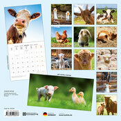 Calendrier Papier 2026 Animaux de la Ferme avec Poster Offert