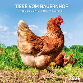 Calendrier 2026 Animaux de la Ferme avec Poster Offert