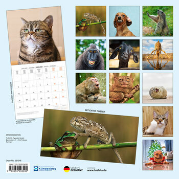 Calendrier 2026 Animaux Funny Drôles avec Poster Offert