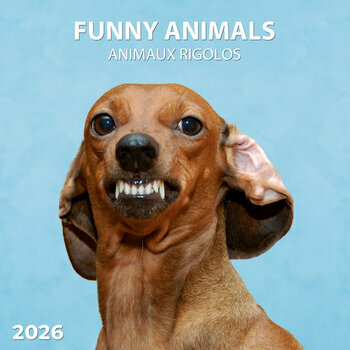 Calendrier 2026 Animaux Funny Drôles avec Poster Offert