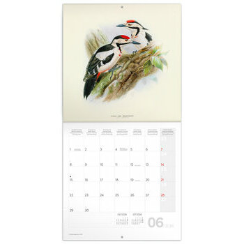 Calendrier 2026 Dessins Art Oiseaux Calendrier 2026 Dessins Art Oiseaux