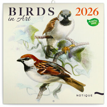 Calendrier 2026 Dessins Art Oiseaux Calendrier 2026 Dessins Art Oiseaux