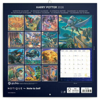 Calendrier 2026 Illustrations Harry Potter Magicien Calendrier 2026 Illustrations Harry Potter Magicien