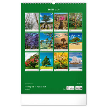 Maxi Calendrier 2026 Magnifiques Arbres Maxi Calendrier 2026 Magnifiques Arbres