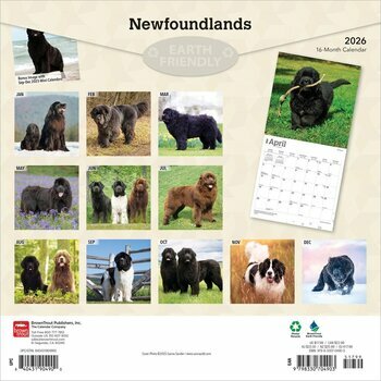 Calendrier 2026 Chien Race Terre Neuve Calendrier 2026 Chien Race Terre Neuve