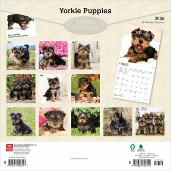 Calendrier 2026 Chien Race Yorkshire Terrier Chiots Calendrier 2026 Chien Race Yorkshire Terrier Chiots