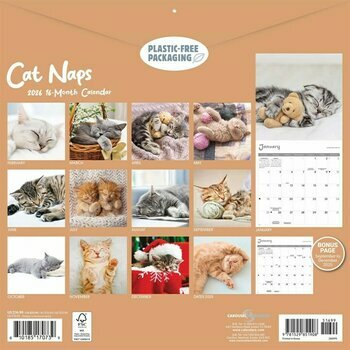 Calendrier 2026 Chats Sieste Endormis Cute Calendrier 2026 Chats Sieste Endormis Cute