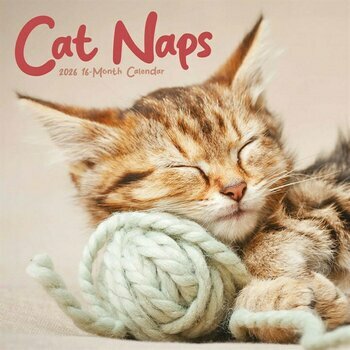 Calendrier 2026 Chats Sieste Endormis Cute Calendrier 2026 Chats Sieste Endormis Cute