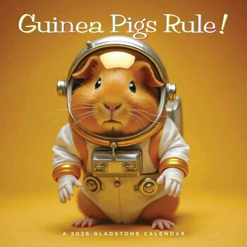 Calendrier 2026 Cochons d'Inde Humour Rigolos Calendrier 2026 Cochons d'Inde Humour Rigolos